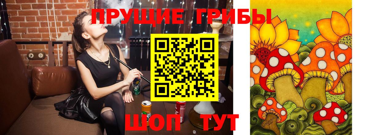 Псилоцибиновые грибы прущие грибы Скопин