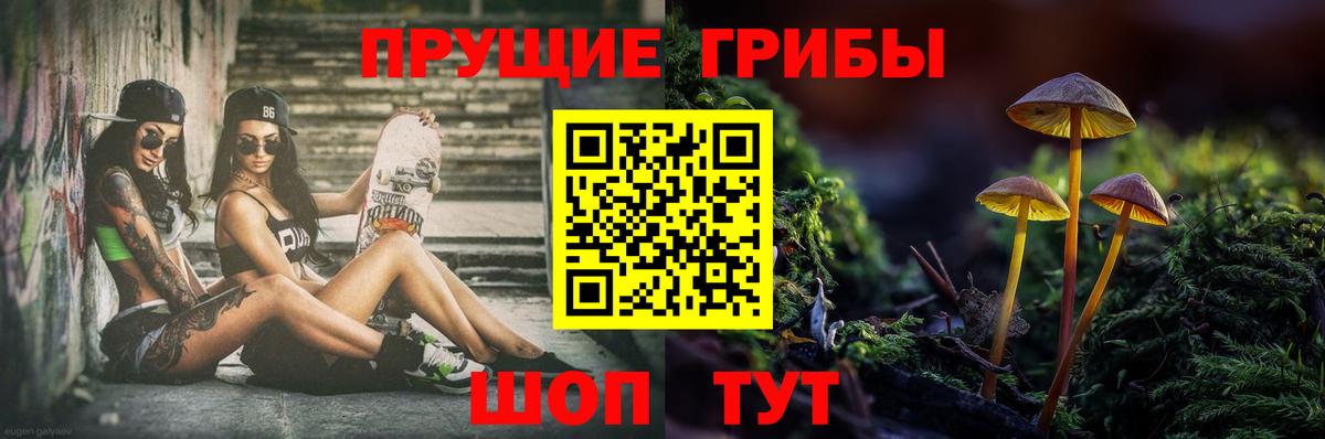 Скопин  Галлюциногенные грибы Psilocybine cubensis  Вход с VPN 