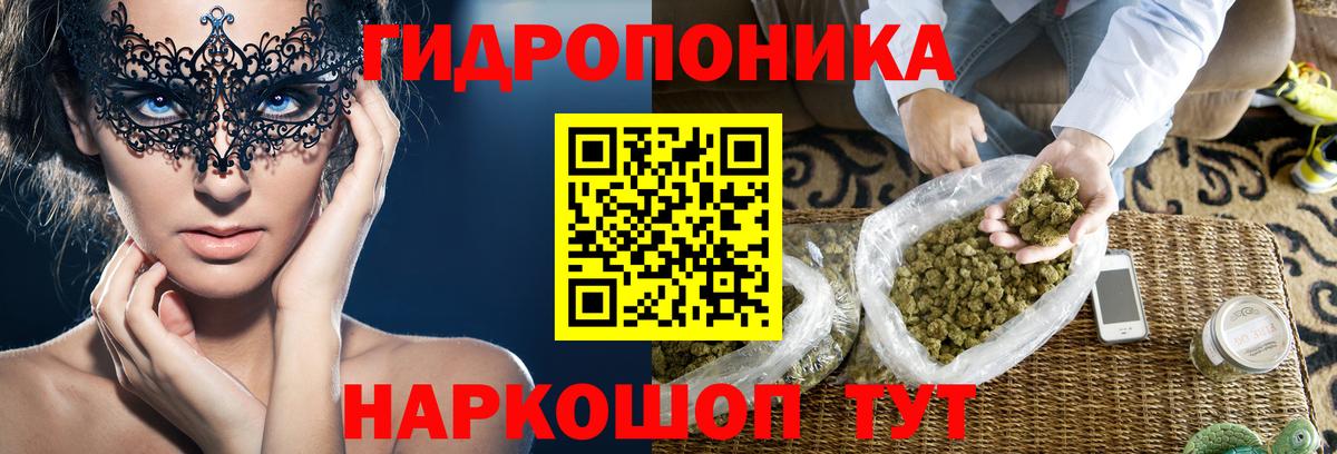 Бошки марихуана AK-47  Бошки Шишки конопля  Скопин  Конопля план  Вход с VPN 